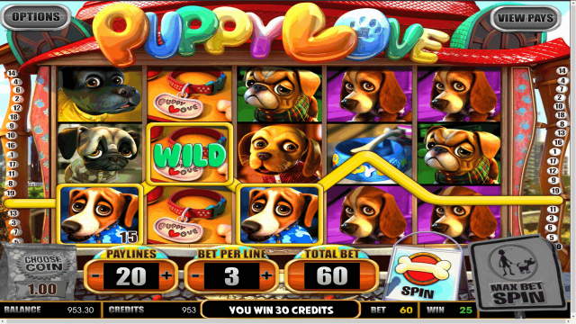 Бонусная игра Puppy Love 8